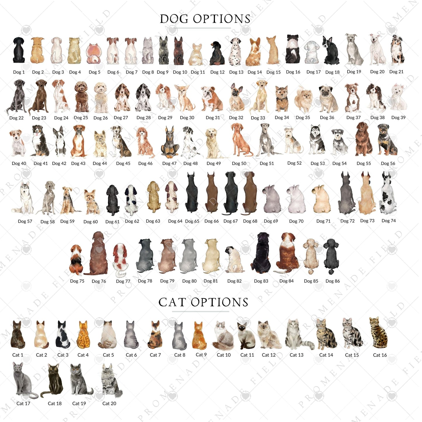 Custom Portrait Acrylic Print