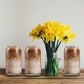 Matcha Glass Can Cup